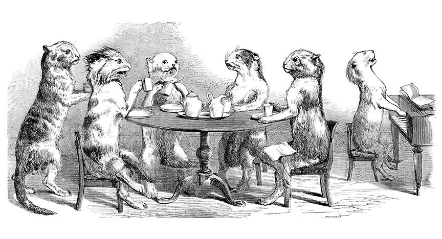 Illustration