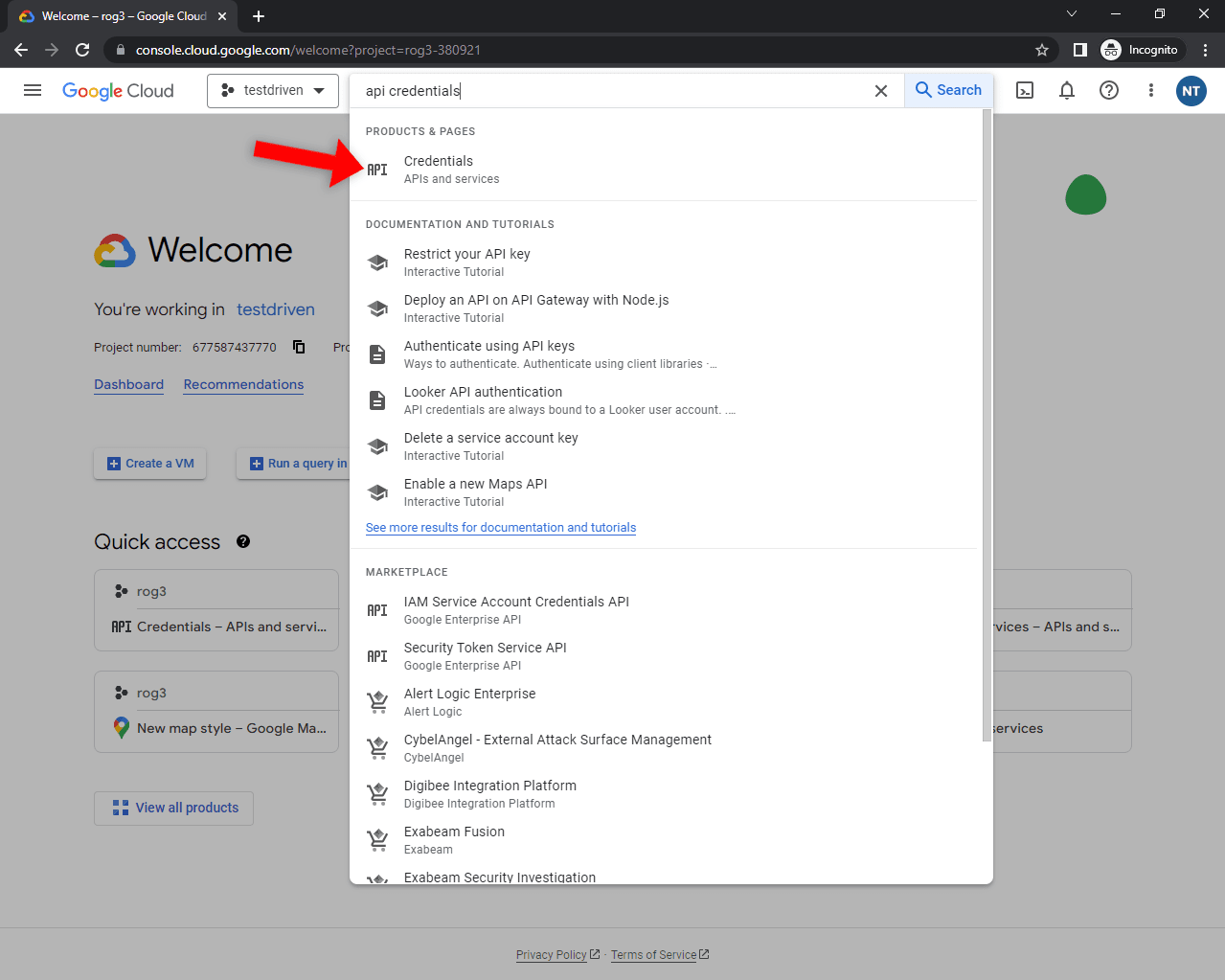 Google Console API Credentials Search